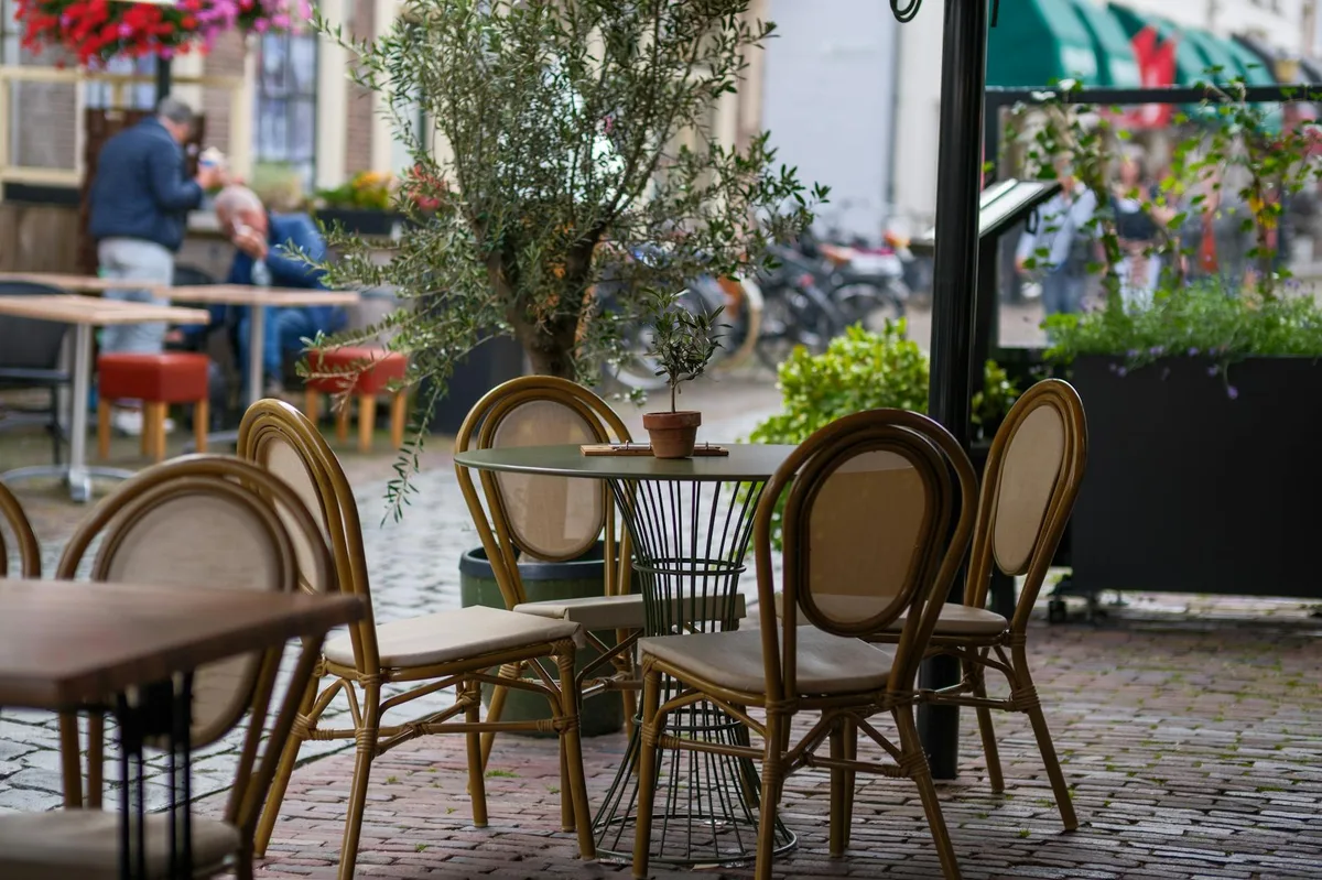 Quaint outdoor cafe setting with elegant chairs, tables, and lush plants on a brick patio.